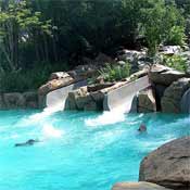 Typhoon Lagoon's Water Slides!